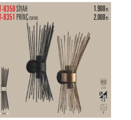 CATA CT-8350 · SİYAH PRİNÇ ESKİTME